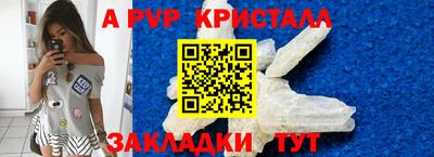 ECSTASY Владимир
