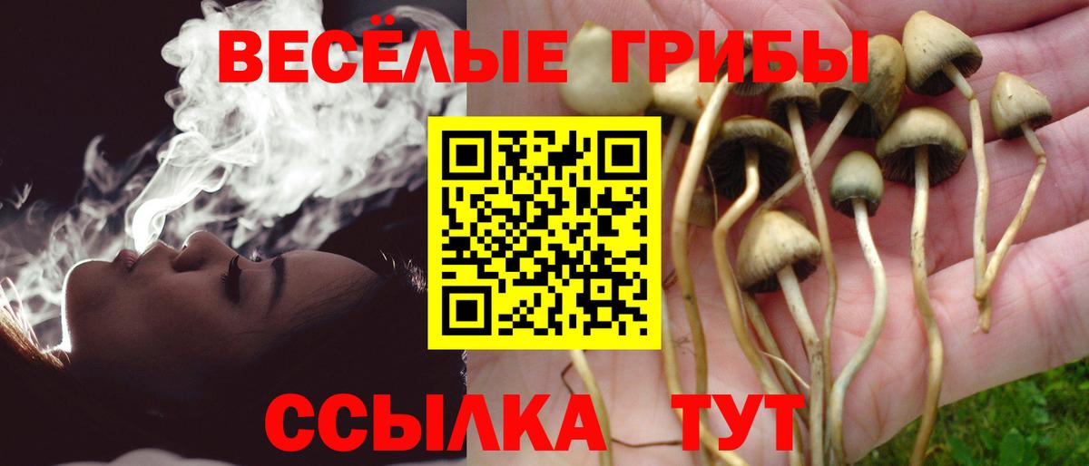 Зеленогорск  Псилоцибиновые грибы ЛСД  Вход с VPN 